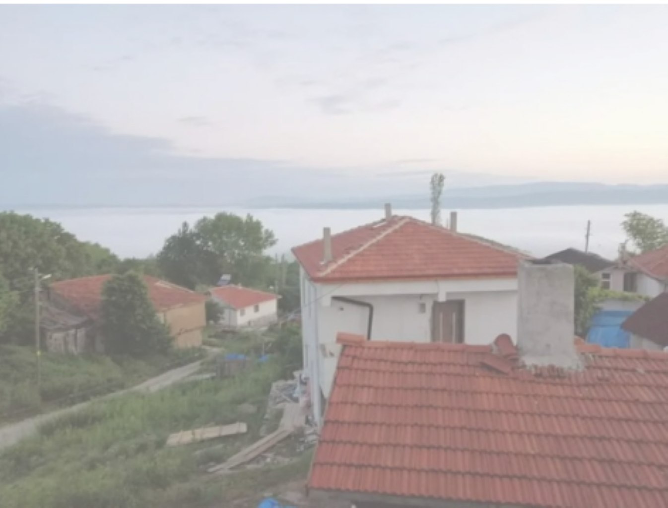 Kuruluşu Ve Kurucuları