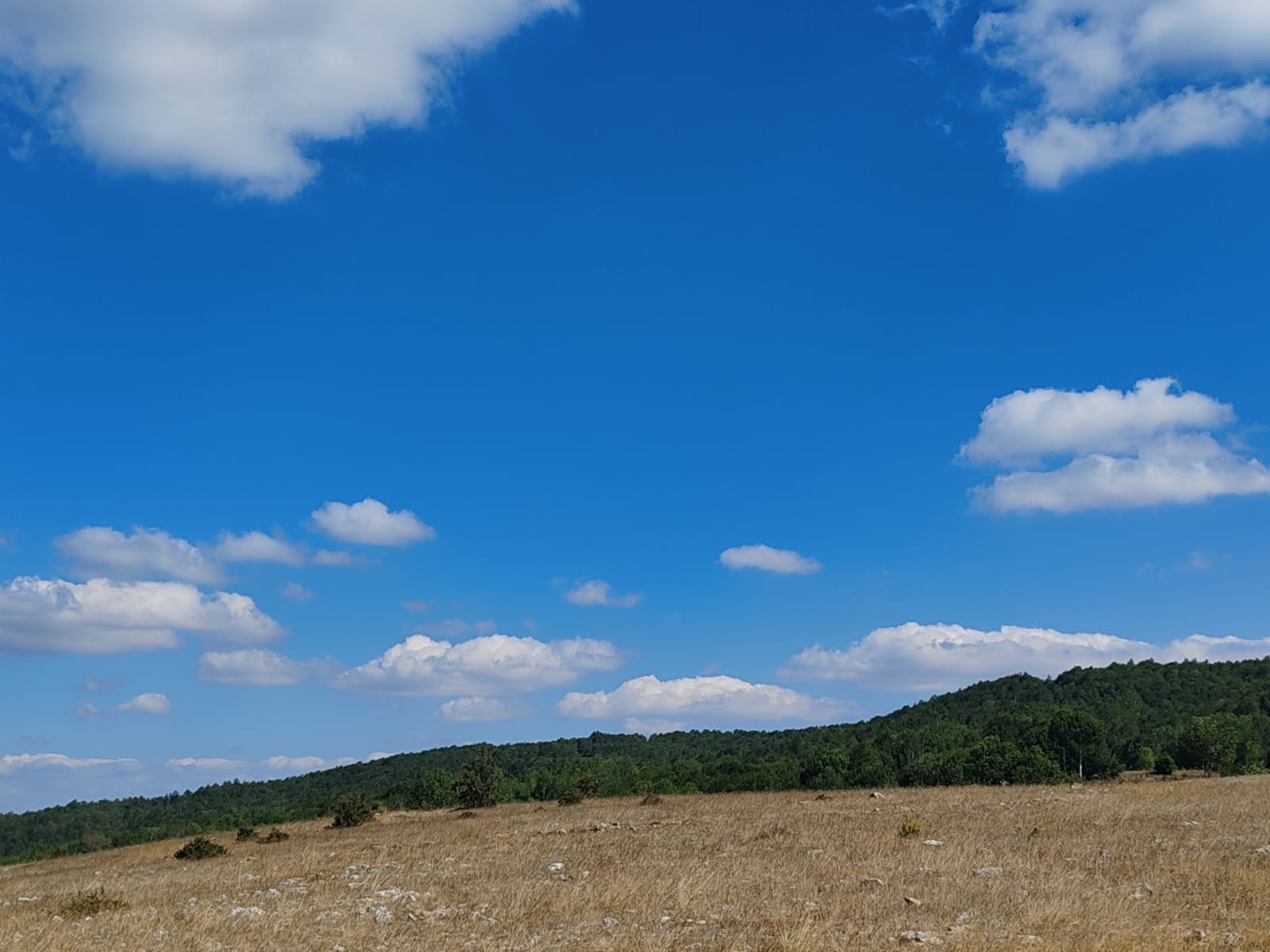 YEŞİLALAN KÖYÜ GÜNCEL