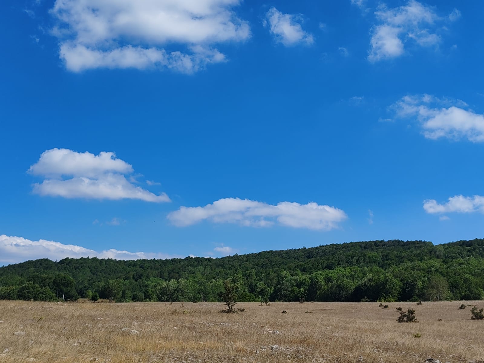 YEŞİLALAN KÖYÜ GÜNCEL